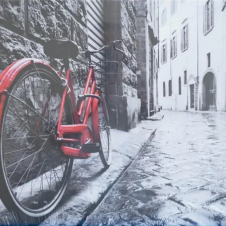 The Bike * فاستو